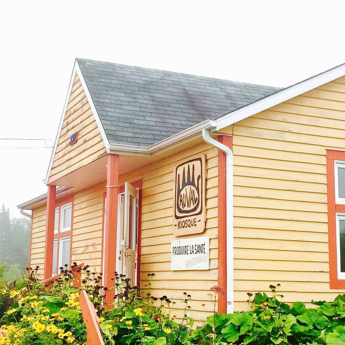 Courtoisie trip advisor