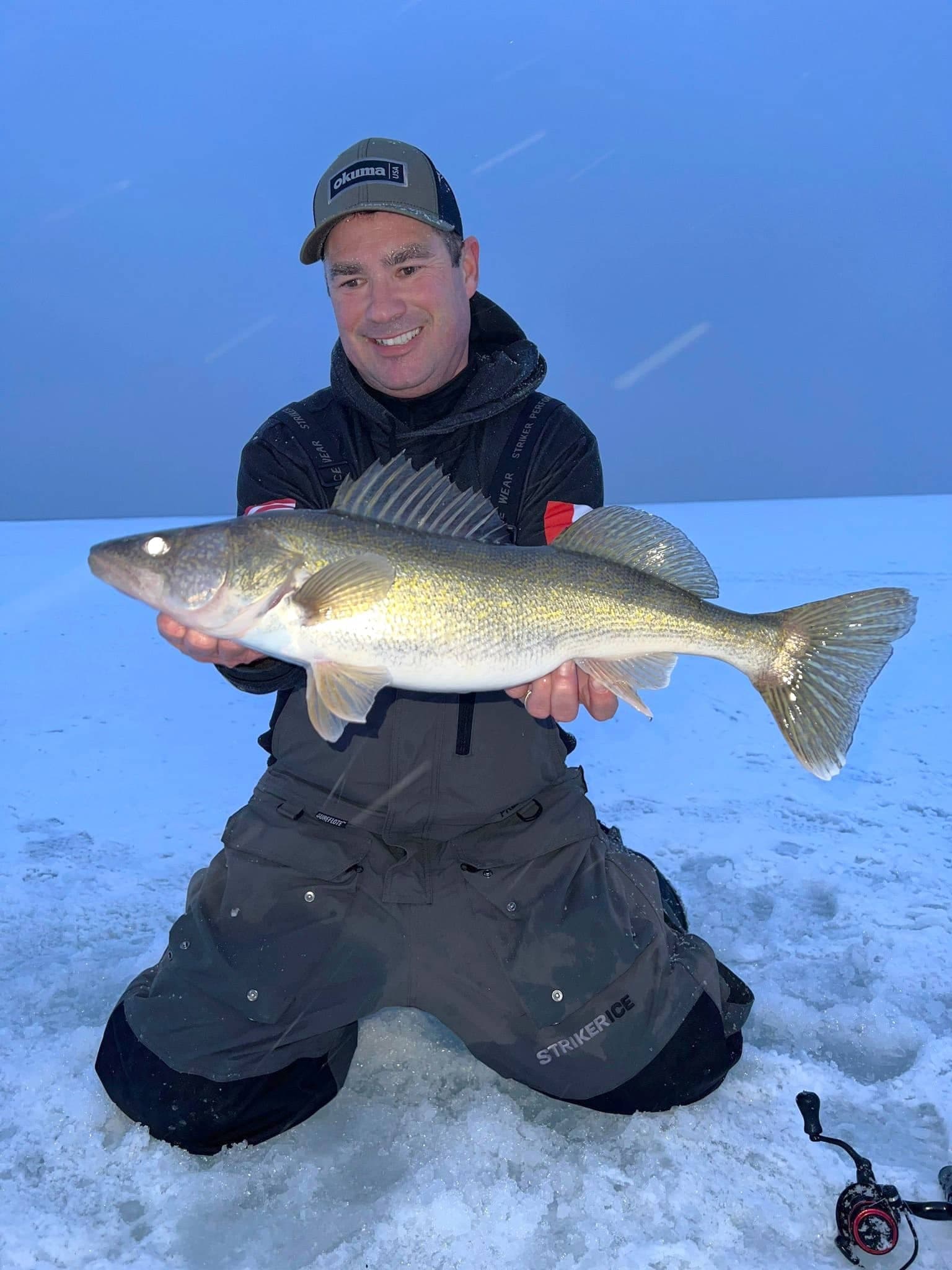 Les dorés deviendront de plus en plus actifs au cours des prochaines semaines.