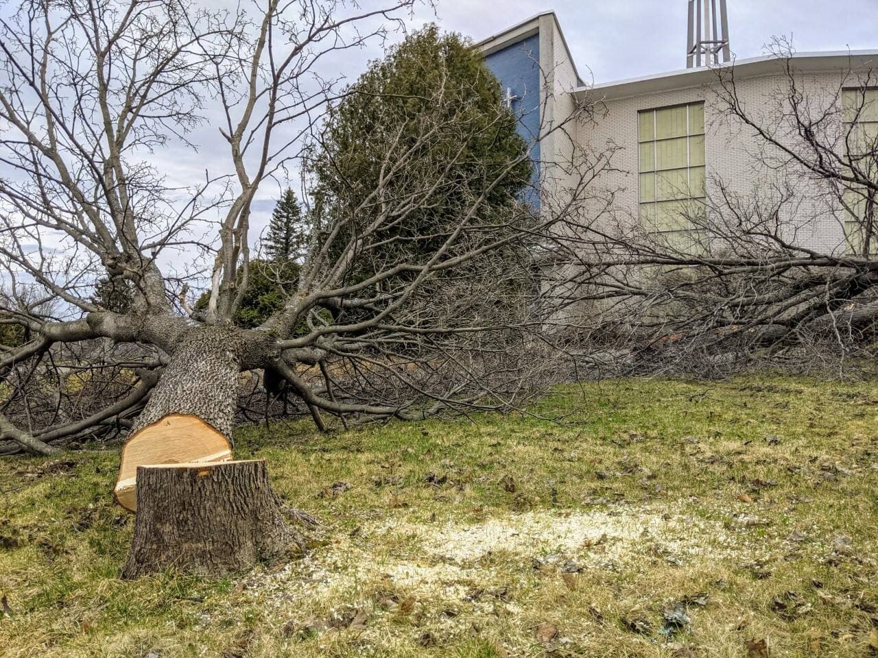 Photo Jean-François Racine